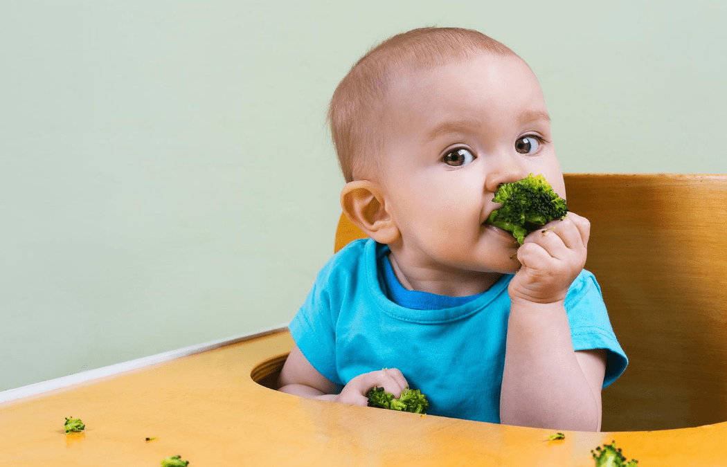 nuevos alimentos